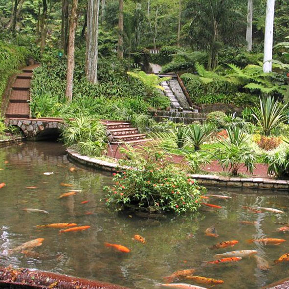 Parque Los Tecajetes 